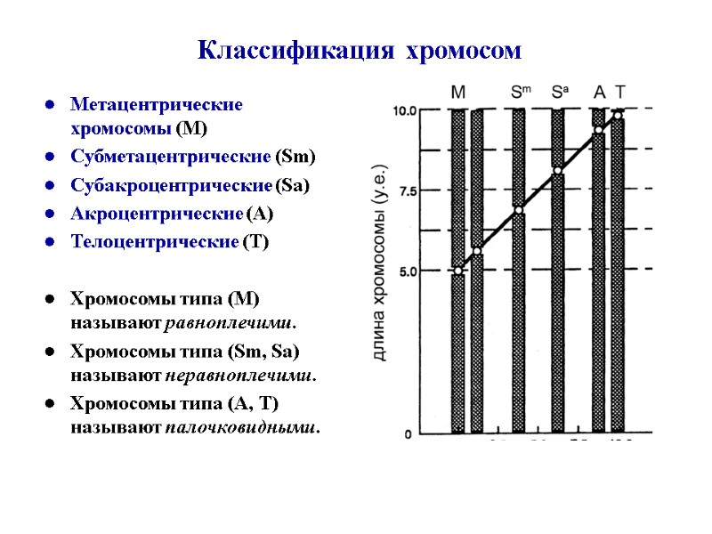Классификация хромосом Метацентрические хромосомы (М) Субметацентрические (Sm) Субакроцентрические (Sа) Акроцентрические (А) Телоцентрические (Т) 